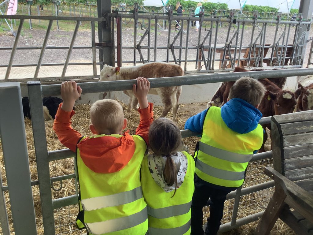 Robins Visit to Lifton Strawberry Fields